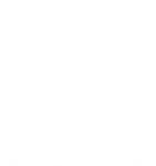 Independent 360